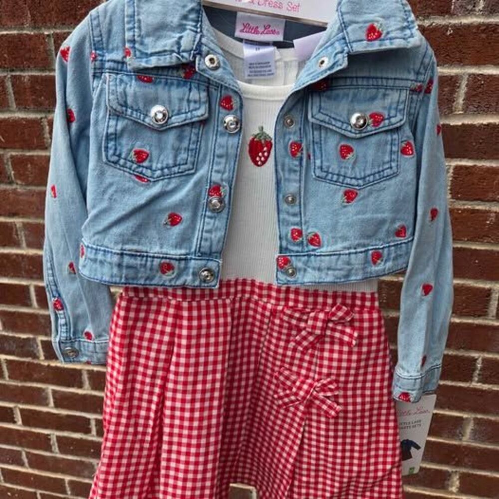 Little Lass Denim Jacket and strawberry dress set 3T new red and white gingham